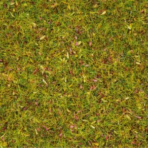GRASS FLOWER MEADOW 20G