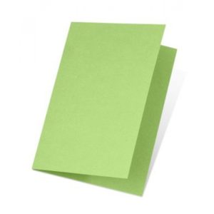 DUBBEL KORT 1001 A6 5P BIRCHTREE GREEN