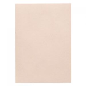 PAPPER 1001 A4 5P 100G APRICOT