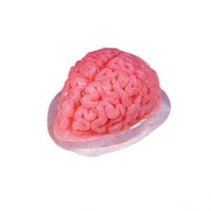 Köp hjärna gelatin för halloween dekorationer | Materialbutiken