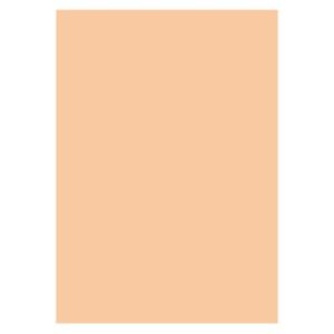 KOP.KART. 130G 50ST APRIKOS