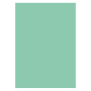 KOP.KART. 130G 50ST MINTGRÖN