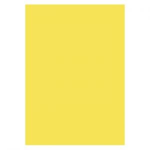 KOP.KART. 130G 50ST CITRONGUL