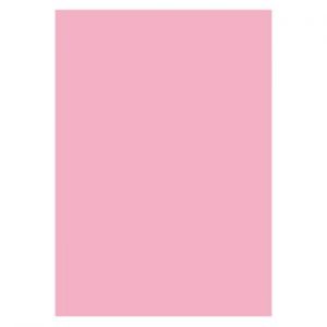 SKYLTKARTONG 10 A4 ROSA