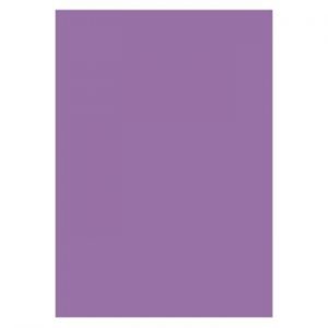 SKYLTKARTONG 10 A4 FLÄDER