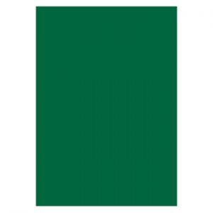 SKYLTKARTONG 10 A4 MÖRKGRÖN