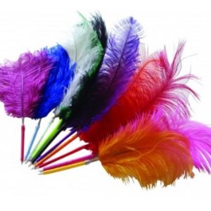 FJÄDERPENNA STRUTS KULSPETS