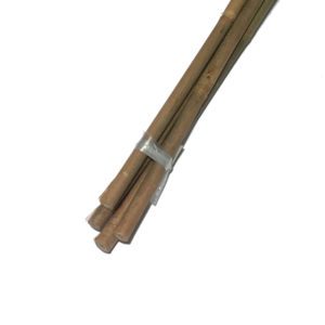 BAMBUKÄPP 150CM 5ST