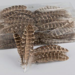 FJÄDRAR M RÄNDER LÅNGA 10ST