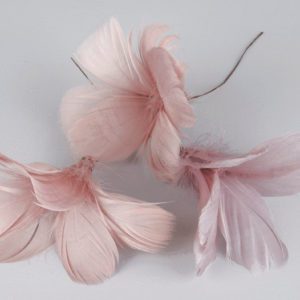 BLOMFJÄDRAR GAMMELROSA 12ST