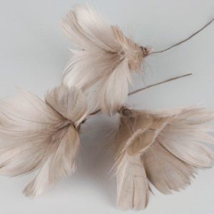 BLOMFJÄDRAR MULLVAD 12ST