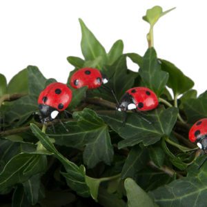 NYCKELPIGA STICK MIX 2,5CM