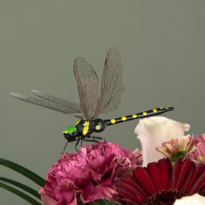 TROLLSLÄNDA STICK 12CM