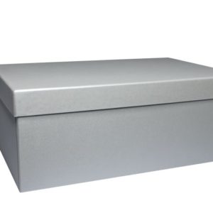 ARTOZ BOX RECT. L SILVER