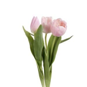 TULPAN LJUSROSA 36CM