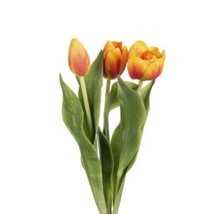 TULPAN ORANGE 36CM