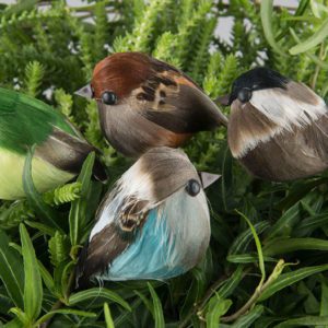 FÅGEL STICK BJÖRKMIX 5CM