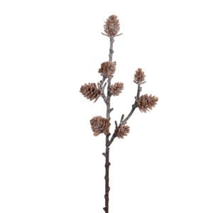 KVIST MED KOTTAR OCH SNÖ