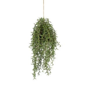 GRANKVIST MED KOTTAR 3ST I BUNT