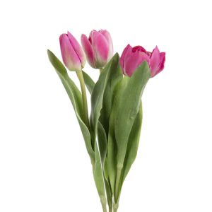 TULPAN ROSA 36CM