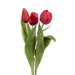 TULPAN RÖD 36CM