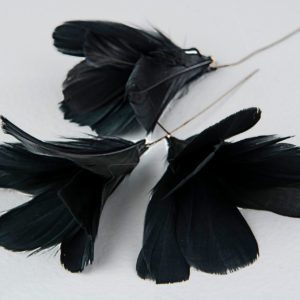 BLOMFJÄDRAR SVARTA 12ST