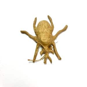 PAPIER MACHÉ SKALBAGGE