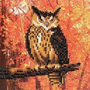 CRYSTAL CARD KIT 18X18CM AUTUMN OWL