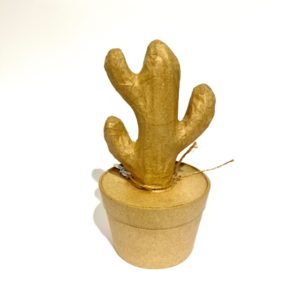 PELARE KAKTUS PAPIER MACHE