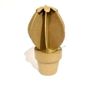 PAPIER MACHE KAKTUS RUND