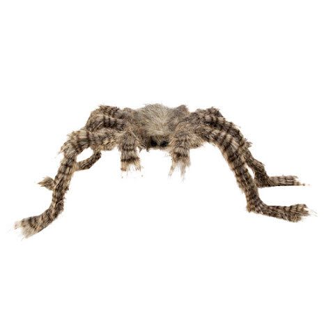 HÅRIG SPINDEL 70*50CM