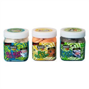 BUGS MATTER - SILK WORM/SPIDER/FLY