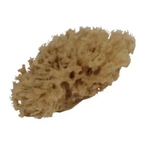 AKVARELLSVAMP FINPORIG