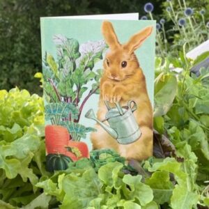 DUBBELKORT M.T WHIMSY RS005