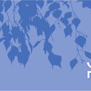 14-dagars Blå Kartong häftad FSC