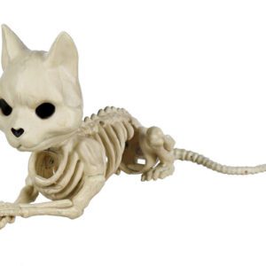SKELETT 17CM KATT