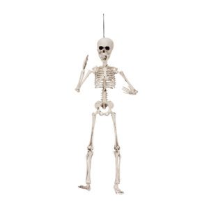 POSABLE SKELETON 50CM