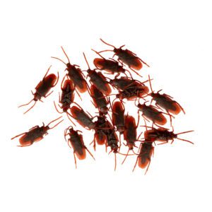 BAG OF COCKROACHES 20PC